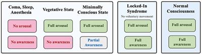 Diagnostic Developments in Differentiating Unresponsive Wakefulness Syndrome and the Minimally Conscious State